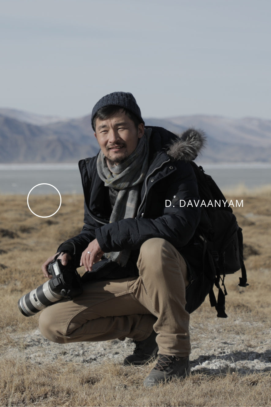 circle conversations │ davaanyam delgerjargal