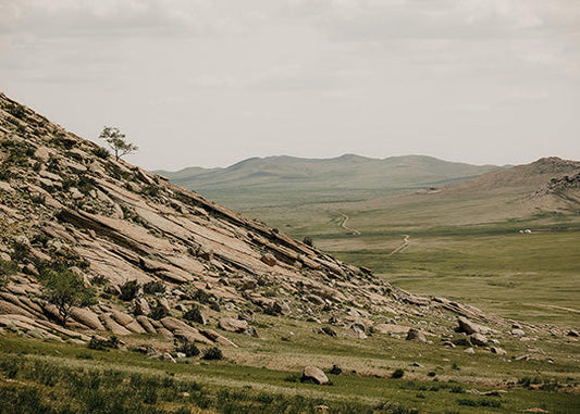 Summer in Mongolia